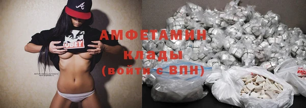 молекула духа Вязьма