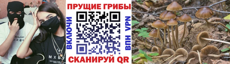 Купить закладки  Горячеводский  Псилоцибиновые грибы Psilocybine cubensis 